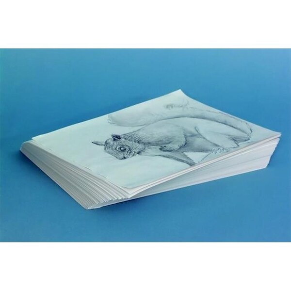 School Smart 085597 Sax Plain Newsprint Newspaper, 30 Lbs. - 12 x 18 In. - White, Pack Of 500 85597 - main